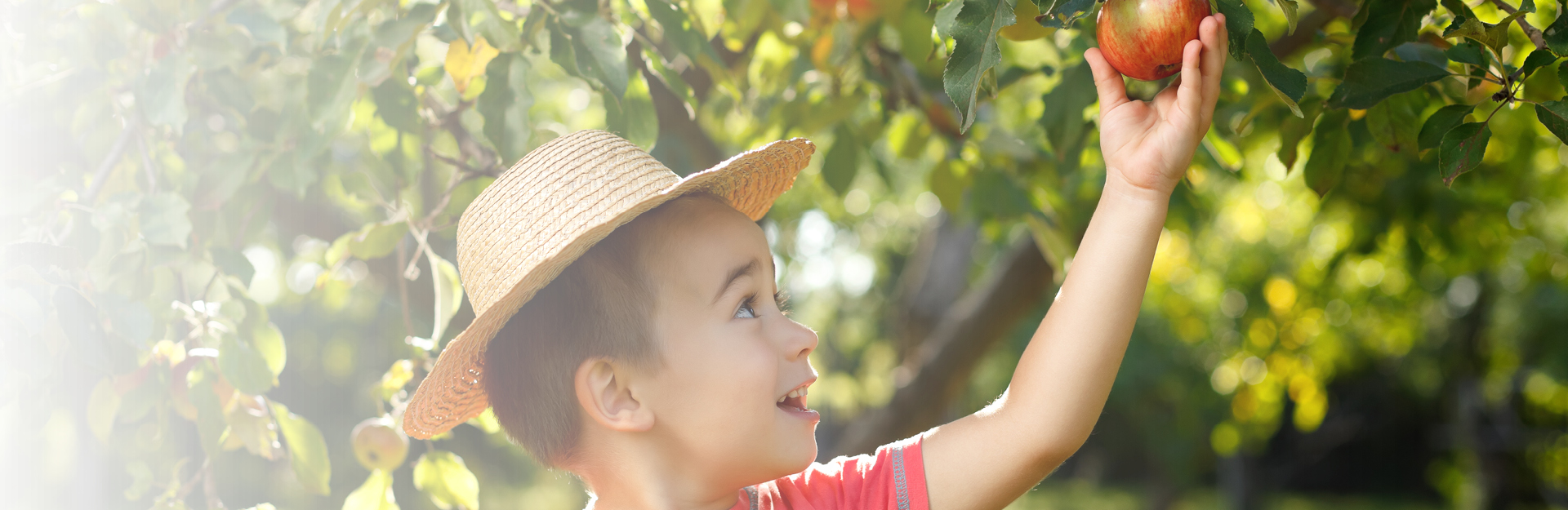 Website Banner Pediatrics